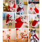 Cat Costume Santa Elk Cosplay | Pet Christmas Shawl Outfit | Kitten Xmas Reinder Cape