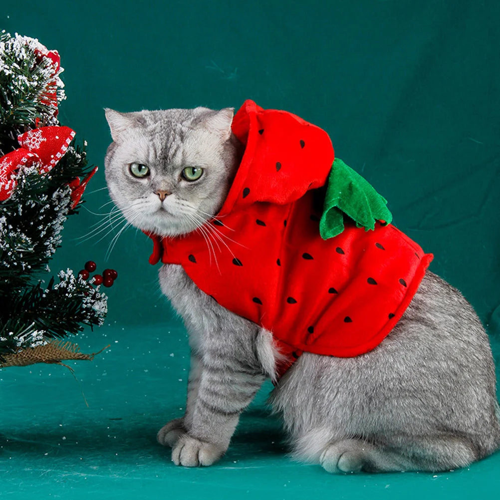 Pet Strawberry Costume | Cat Christmas Cosplay | Kitten Plush Warm Sweater