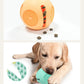 Silicone Pet Dog Toys | Anti-Bite Dog Chew Toys | Tooth Cleaning Leaking Food Ball