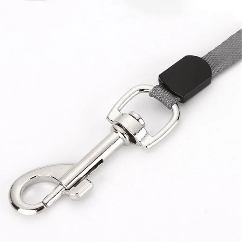 Nylon Dog Leash | Automatic Retractable Pet Lead | Puppy Walking Running Traction