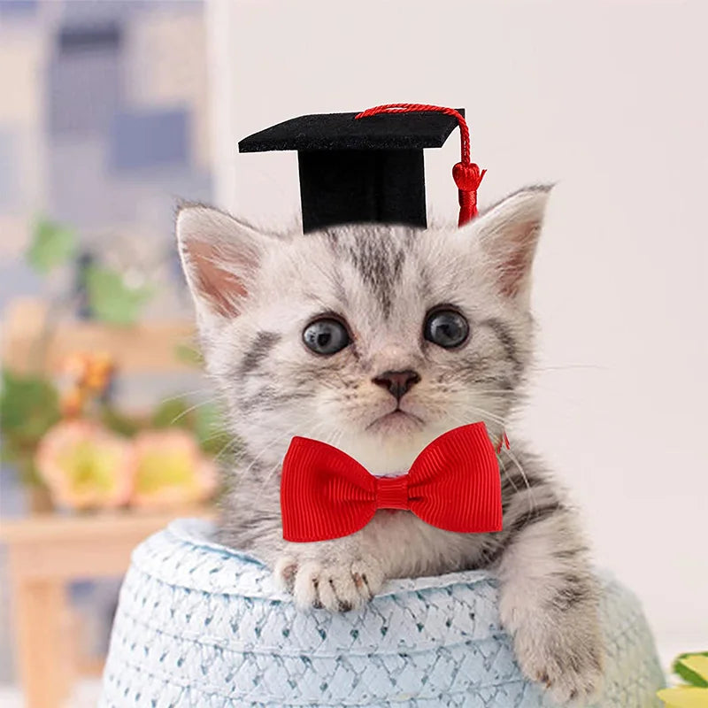 Small Pet Graduation Caps | Cats Mini Bachelor Hat with Tassel | Cute Kitten Bowtie Costume Accessory