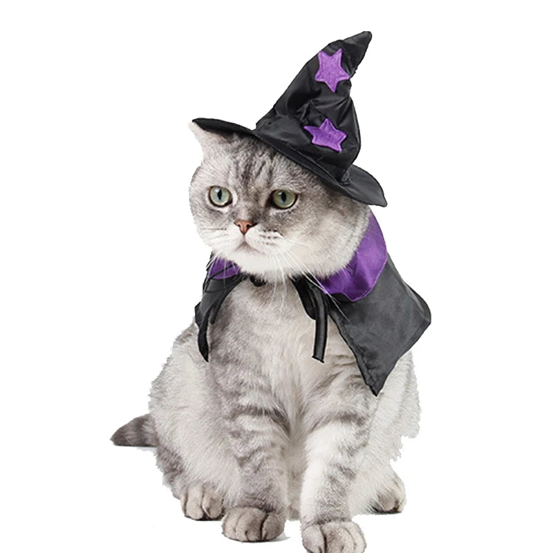 Halloween Pet Costume | Cat Wizard Cosplay | Kitten Cape and Hat