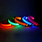 Dog Collar Nylon LED Light | Night Safety Flashing Glow In The Dark Pet Leash