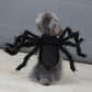 Halloween Cat Clothes | Pet Cosplay Spider Costume | Kitten Extra Legs Outfit