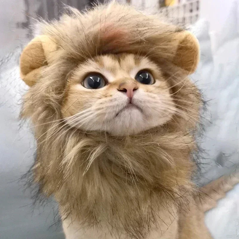 Cat Cosplay Dress Up | Pet Hat Lion Mane | Kitten Wig Costume