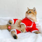 Chinese Style Lion Cat Coat | Pet Four Feet Clothes | Pet Winter Costume