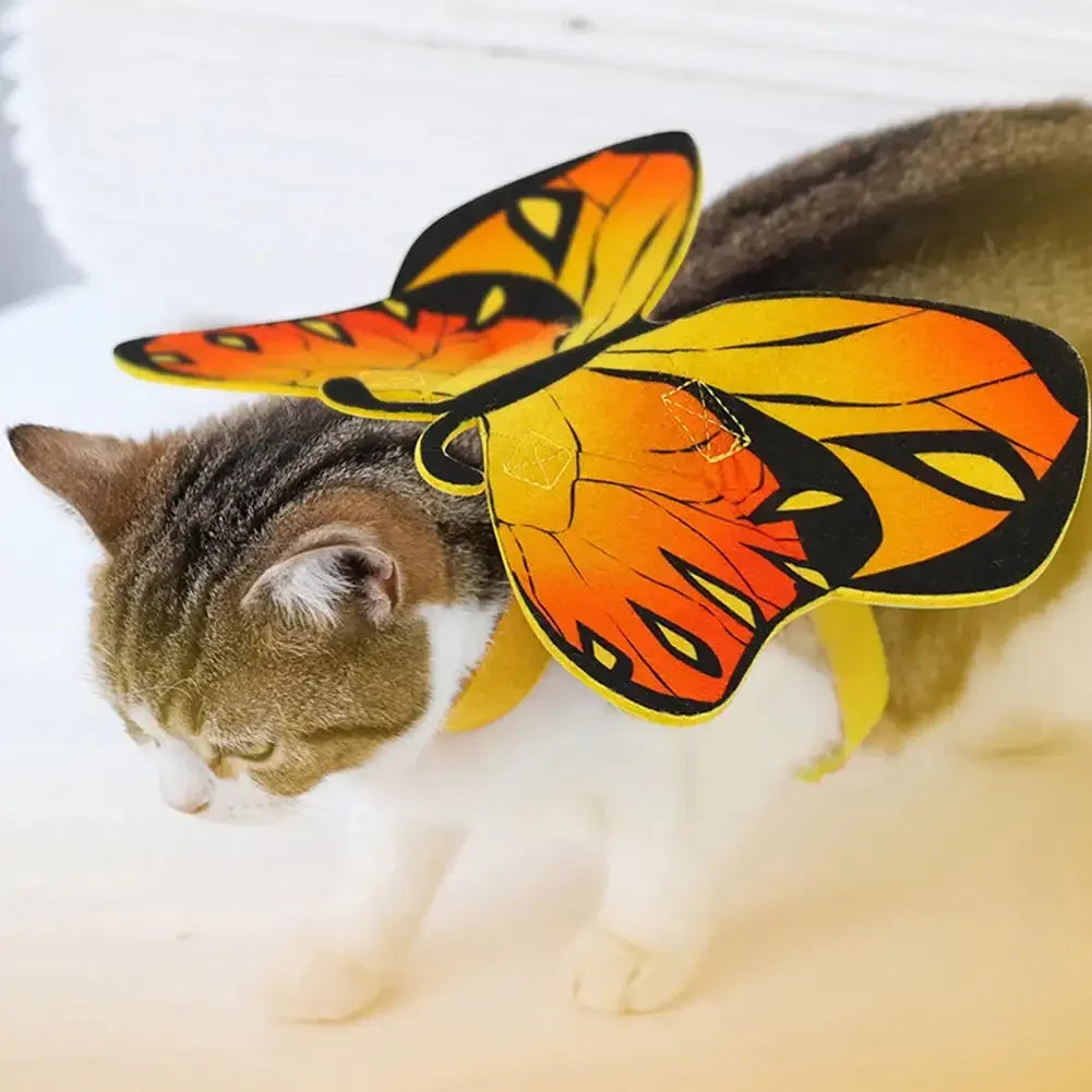 Cat Costume Wings | Pet Soft Attachment | Kitten Comfortable Butterfly Cosplay