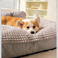 Winter Warm Dog Mat | Soft Pet Sleeping Washable Puppy Bed