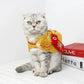 Pet Costume Chinese Style | Asian Cat Suit Cape | Kitten New Year Collar Cowl