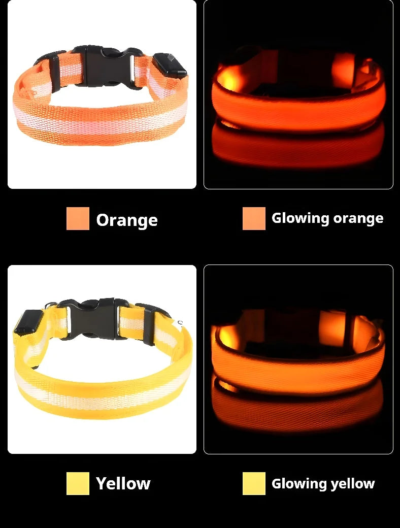 Dog Collar Nylon LED Light | Night Safety Flashing Glow In The Dark Pet Leash