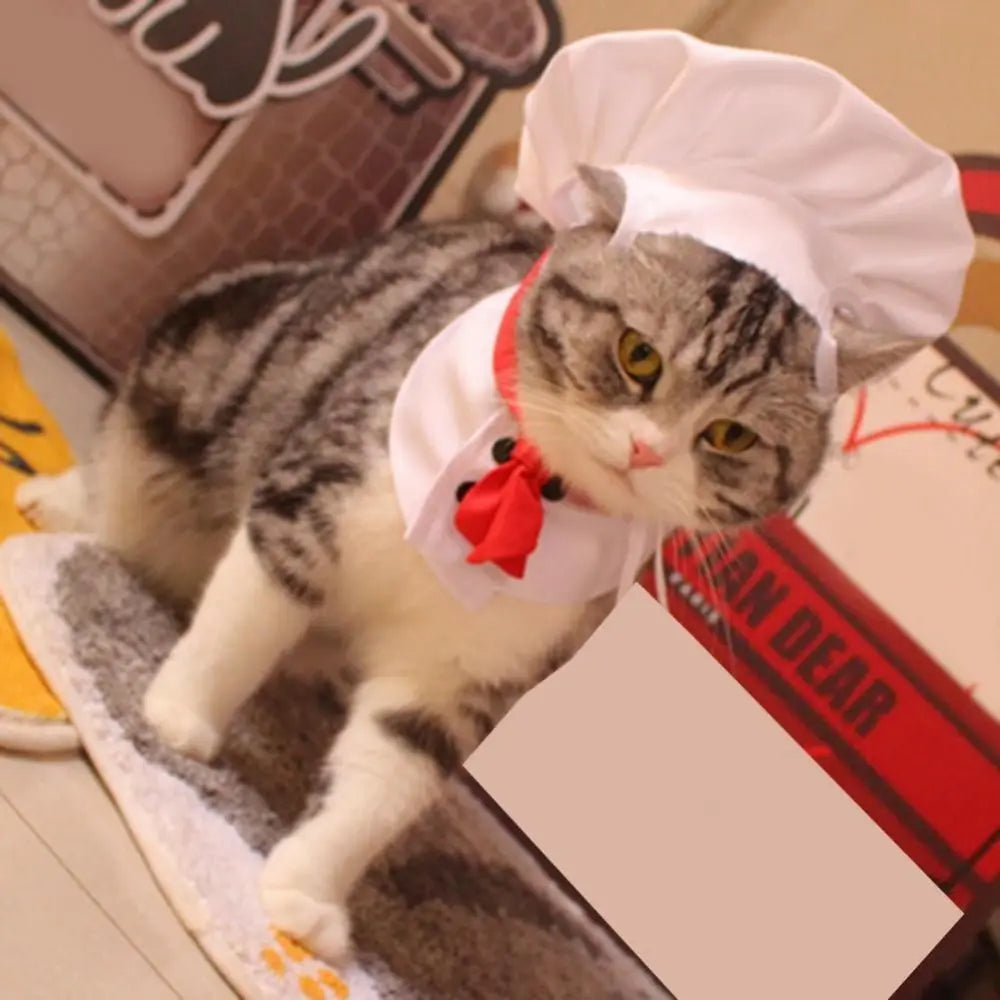 Cat Polyester Chef Hat | Pet Cook Apron Cosplay Props | Kitten Costume