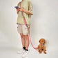 Nylon Pet Dog Leashes | Hands-Free Dog Leash Rope | Reflective Dog Chain