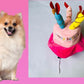 Pet Dog Hat for Birthday Party | Adjustable Dog Headwear | Puppy Dress Up Cap