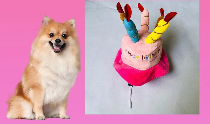 Pet Dog Hat for Birthday Party | Adjustable Dog Headwear | Puppy Dress Up Cap