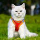 Pet Dog Harness | Outdoor Reflective Breathable Dog Traction Rope | Walking Harness