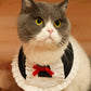 Pet Maid Costume | Cat Bandana Original Design | Kitten Clothes Bib Scarf