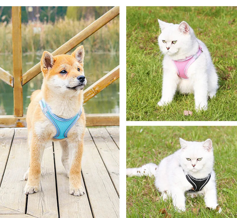 Pet Dog Harness | Outdoor Reflective Breathable Dog Traction Rope | Walking Harness