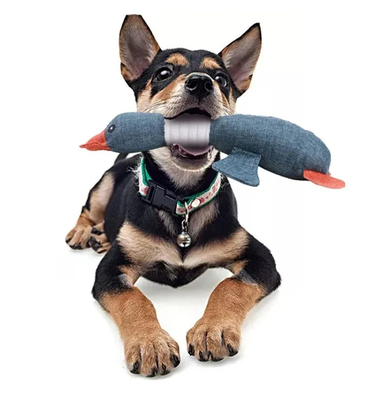 Interactive Dog Toys | Bite-Resistant Dog Chew Toys | Pet Squeaky Toys