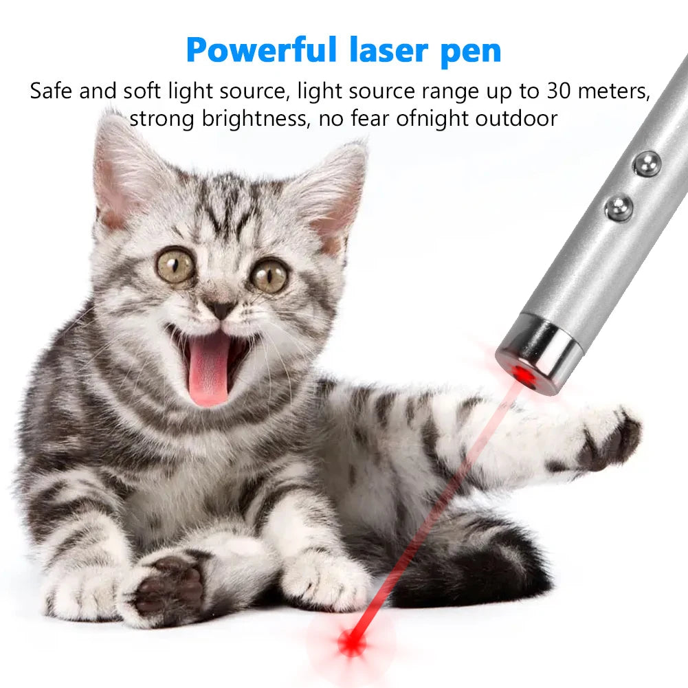 Cat Playing Pointer Pen | Mini Keychain Kitten Chase Torch | LED Pet Light