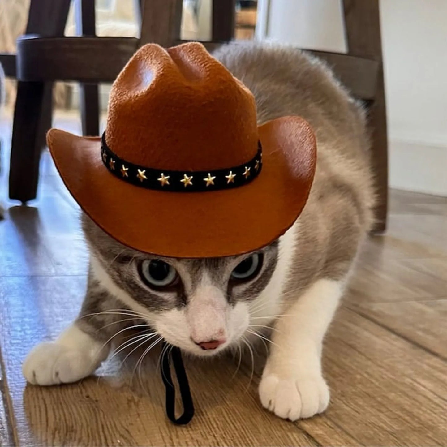 Pet Cowboy Hat | Cat Adjustable Caps | Kitten Western Headwear