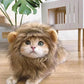 Cat Cosplay Dress Up | Pet Hat Lion Mane | Kitten Wig Costume