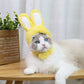 Cat Rabbit Ears Headgear | Pet Teddy Bear Cosplay | Kitten Costume