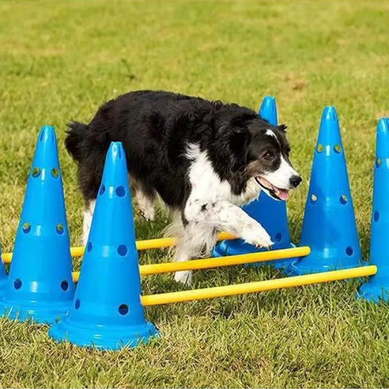 Pet Agility Training Set | Jumping Bar Dog Obstacle Trainer Equipment | Puppy Hurdle Device