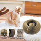 Magic Cat Scratch Organ Board | Kitten Toy with Ball | Pet Grinding Claw Scratching Toy