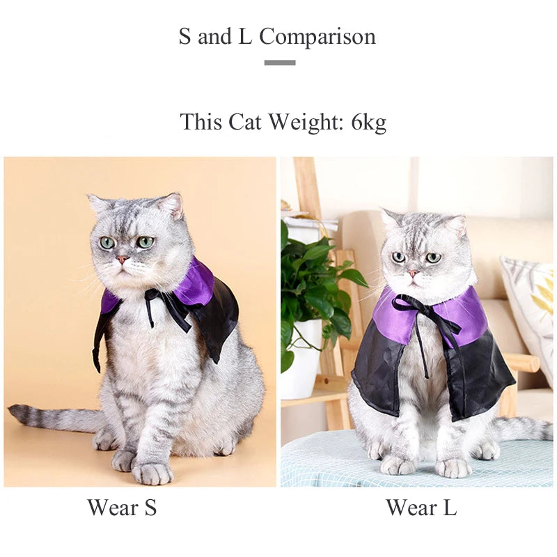 Halloween Pet Costume | Cat Wizard Cosplay | Kitten Cape and Hat