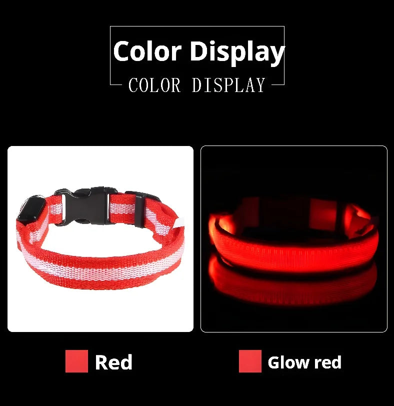 Dog Collar Nylon LED Light | Night Safety Flashing Glow In The Dark Pet Leash