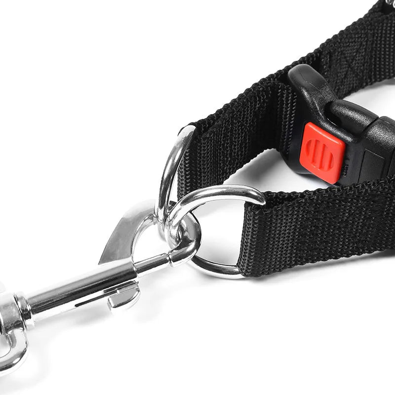 Stimulating Training Dog Collar | Detachable Stainless Steel Metal Collar with Rubber Tips