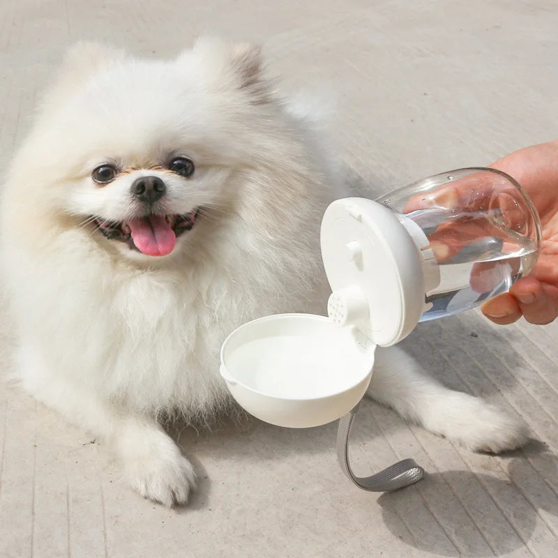 Outdoor Dog Water Bottle | Portable Travel Pet Drinking Cup for Small Dogs Cats