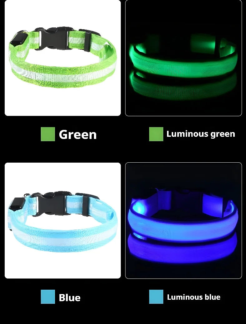 Dog Collar Nylon LED Light | Night Safety Flashing Glow In The Dark Pet Leash