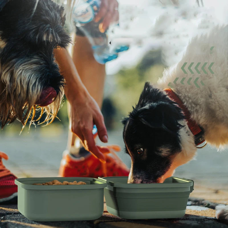 Double Dog Feeder Bowls | Folding Portable Pet Dog Bowls | Outdoor Travel Dog Bowls