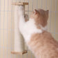 Cat Scratching Post for Crate Cage with Self Groomer | Kitten Scratcher Grinding Claws Toys