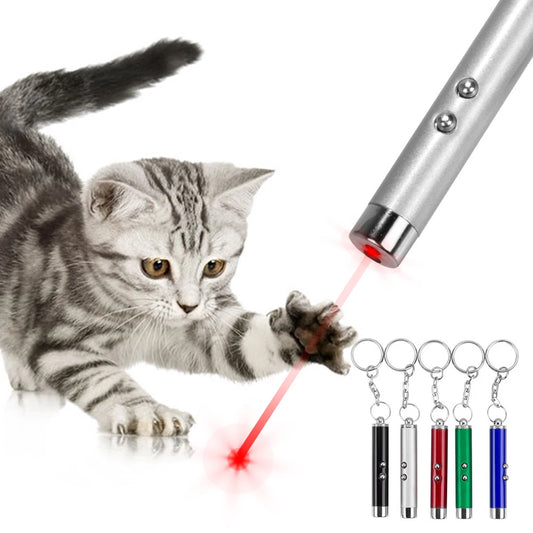 Cat Playing Pointer Pen | Mini Keychain Kitten Chase Torch | LED Pet Light