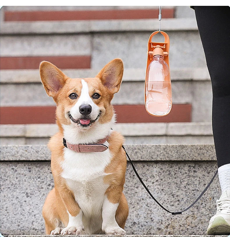 500ml Portable Dog Water Bottle | Outdoor Drinking Pet Drinking Container | Travel Cat Feeder