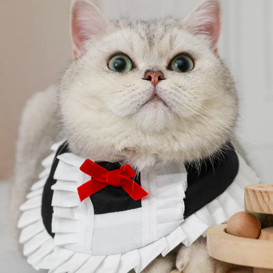 Pet Maid Costume | Cat Bandana Original Design | Kitten Clothes Bib Scarf