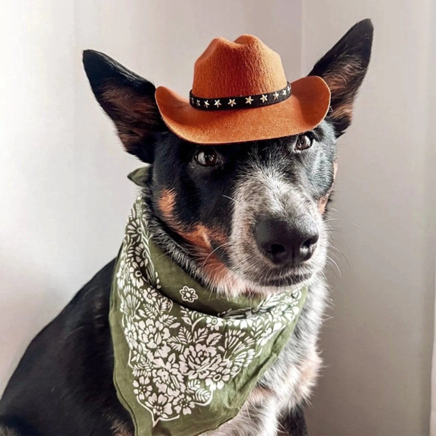 Pet Cowboy Hat | Cat Adjustable Caps | Kitten Western Headwear