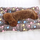 Soft Dog Bed | Winter Warm Dog Sleeping Mat | Thickened Pet Mat Blanket