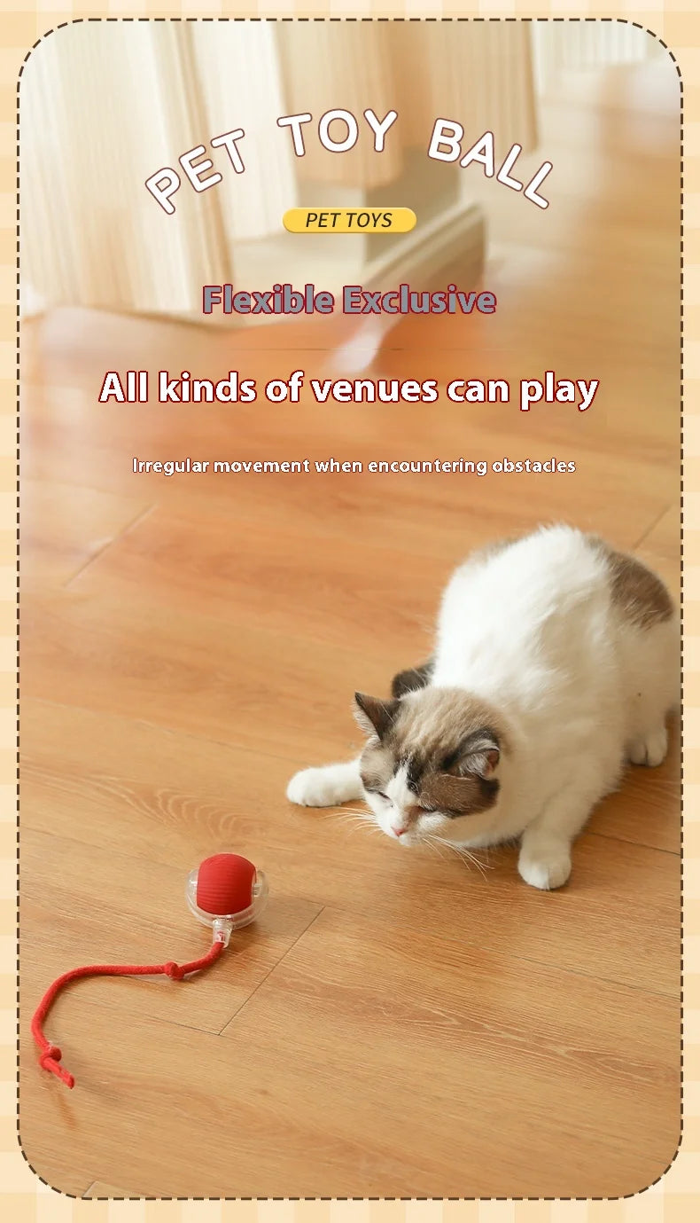 Cat Interactive Ball Toys | Kitten Automatic Rolling Ball | Pet Faux Tail Rechargeable Smart Mouse