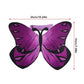 Cat Costume Wings | Pet Soft Attachment | Kitten Comfortable Butterfly Cosplay