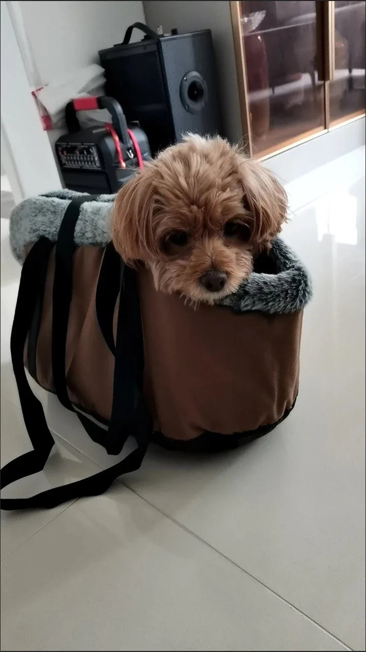 Autumn Winter Dog Backpack | Pet Hiking Classic Windproof Carrier Bag