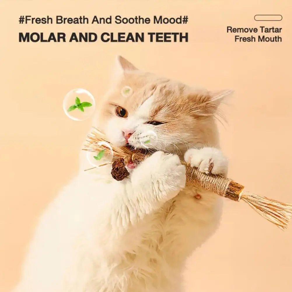 Cat Chew Stick Toys | Kitten Cleaning Teeth Rope