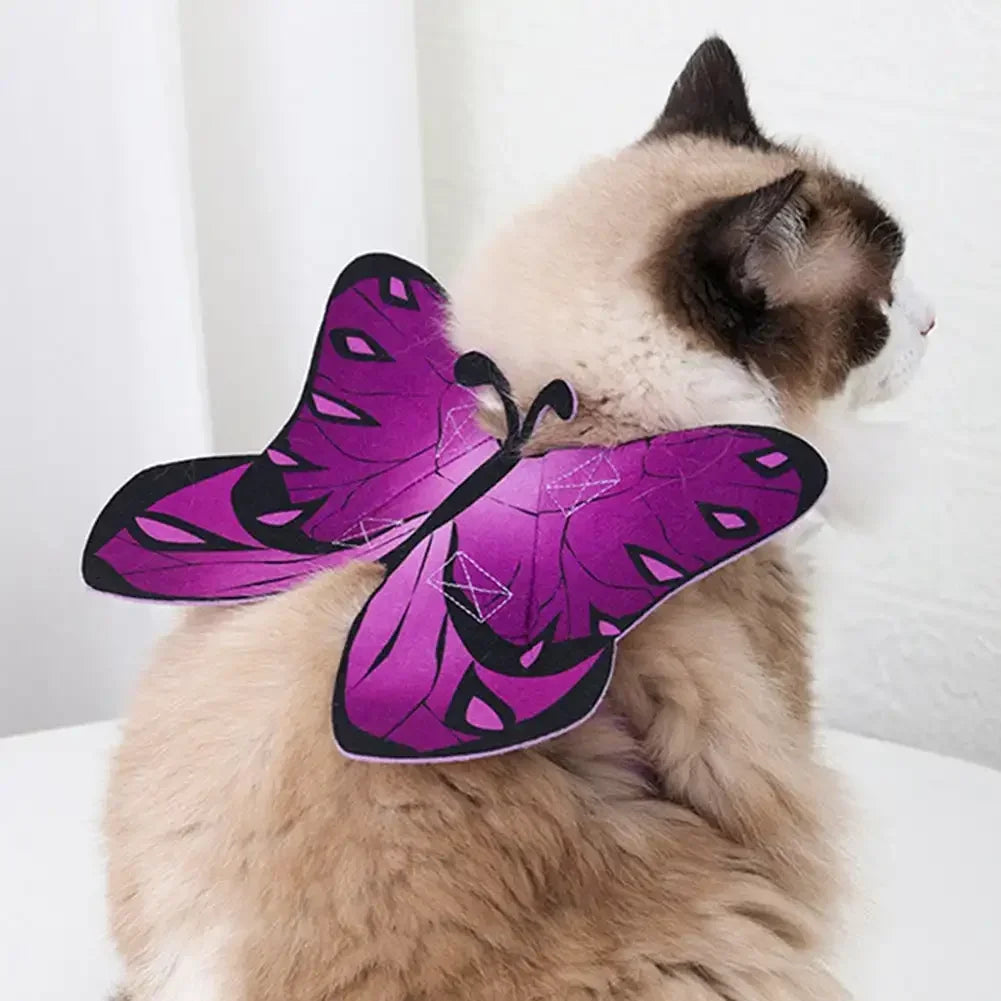 Cat Costume Wings | Pet Soft Attachment | Kitten Comfortable Butterfly Cosplay