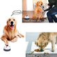 Pet Bell Training | Interactive Dog Toy | Small Cat Bells Footprint Ring Trainer Feeding Reminder