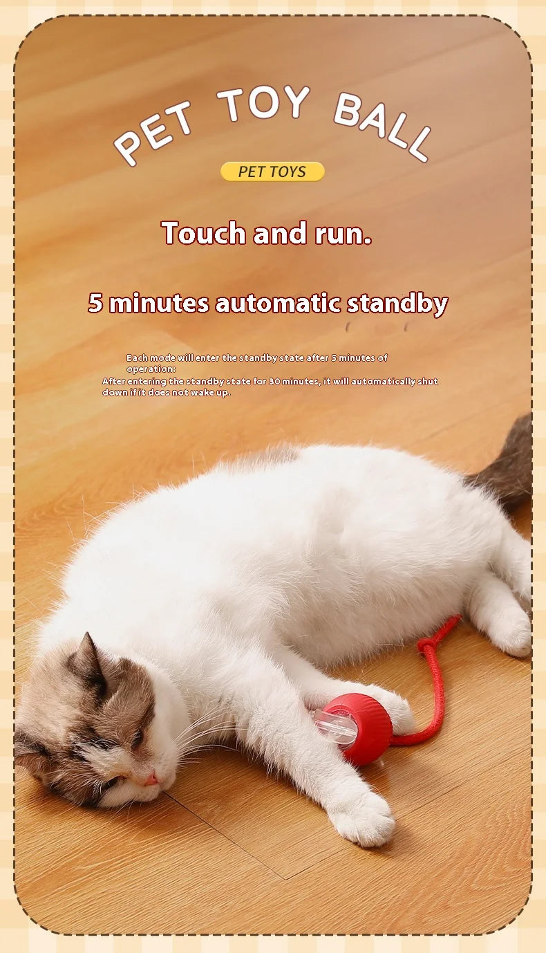 Cat Interactive Ball Toys | Kitten Automatic Rolling Ball | Pet Faux Tail Rechargeable Smart Mouse