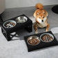 Elevated Slow Dog Feeder | Double Dogs Bowls for Small Medium Large Dogs | Adjustable Raised Stand