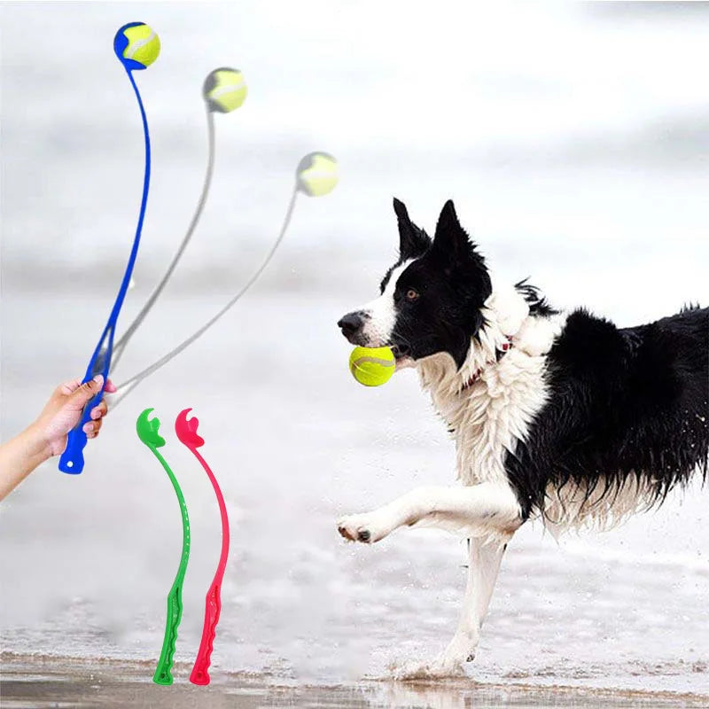 Pet Tossing Training Toy Ball | Puppy Ball Launcher | Dog Ball Tosser