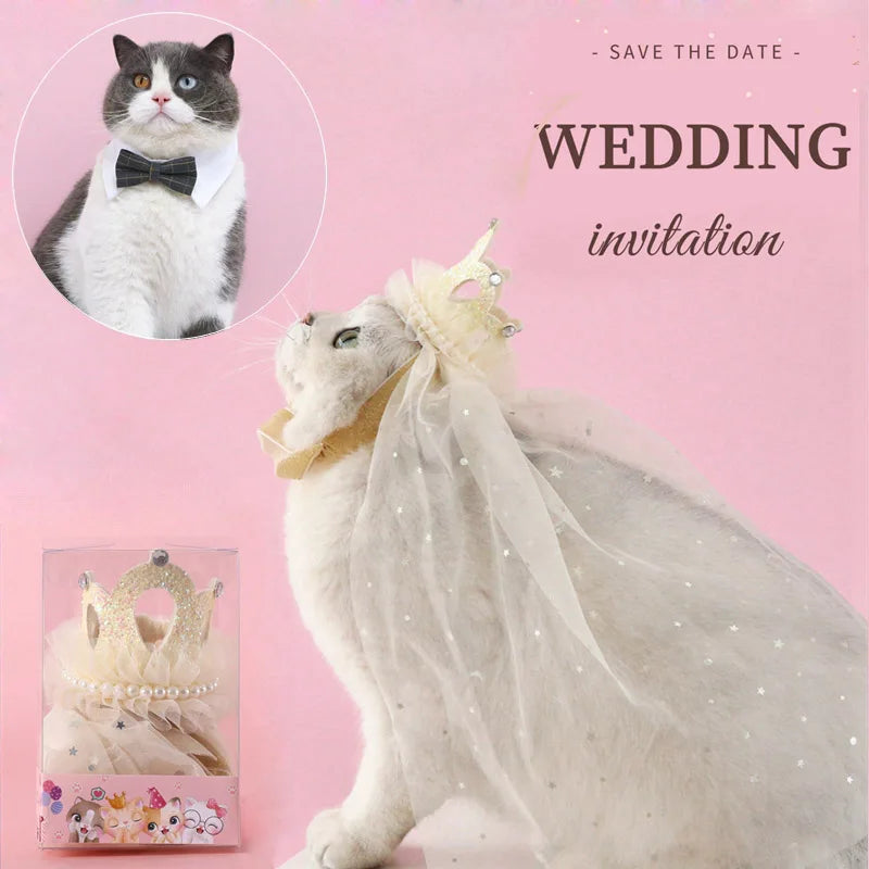 Pet Wedding Princess Costume | Cat Crown Wedding Veil | Kitten Bridal Sequin Lace Pearls